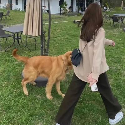 寻爱的女人